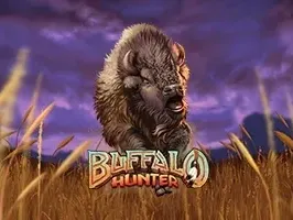 Buffalo Hunter DNT game cover